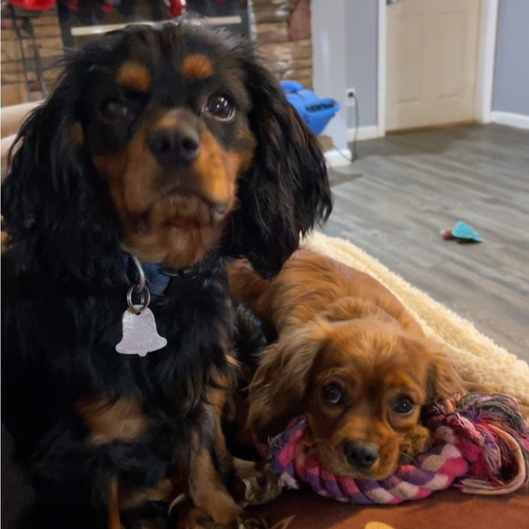 Meet your Posher, Sarah - Picture 10 of 16